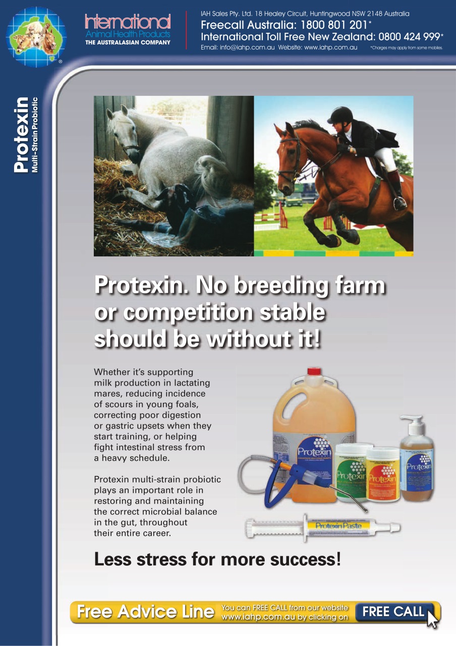 The Horse Magazine Preview Pages