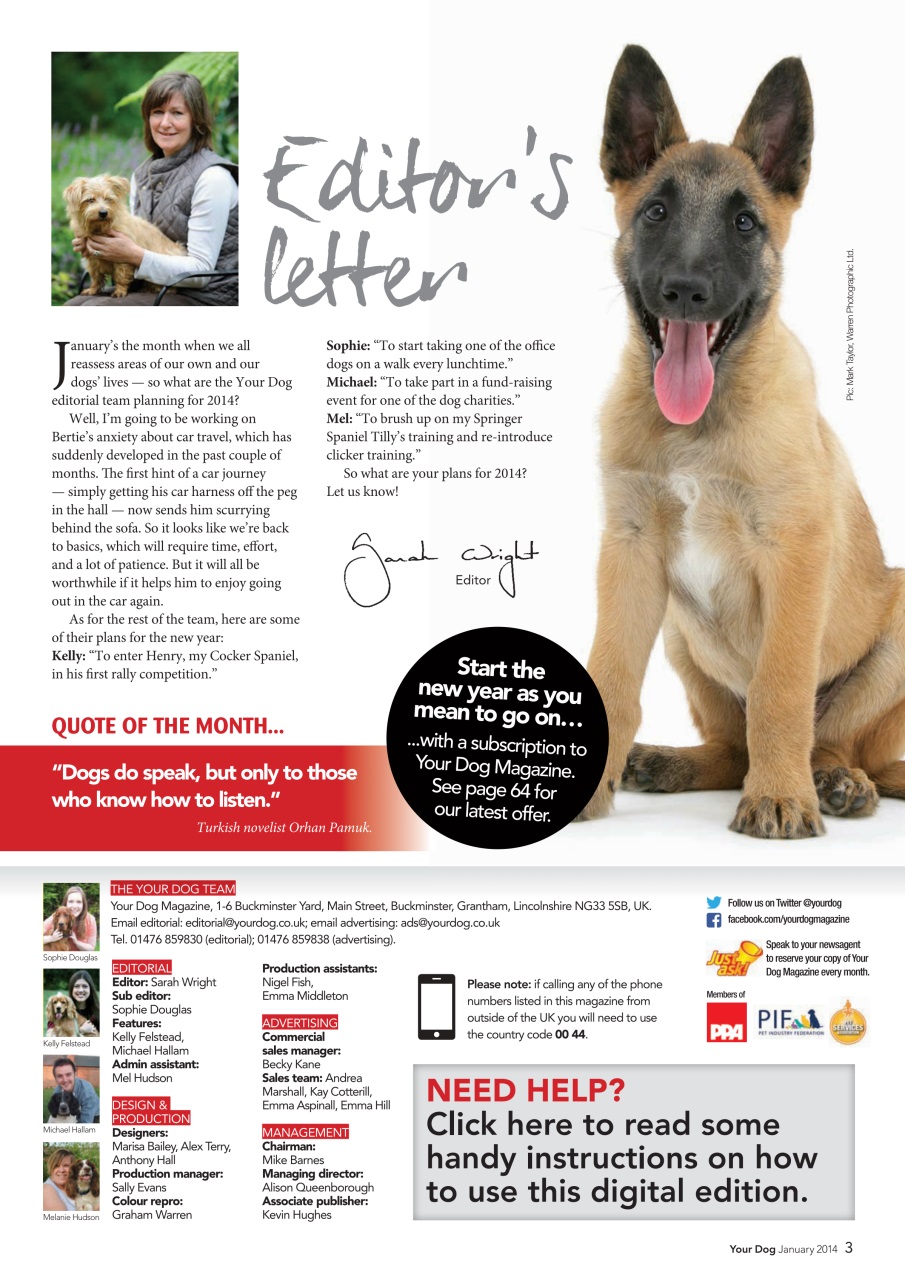 Your Dog Preview Pages