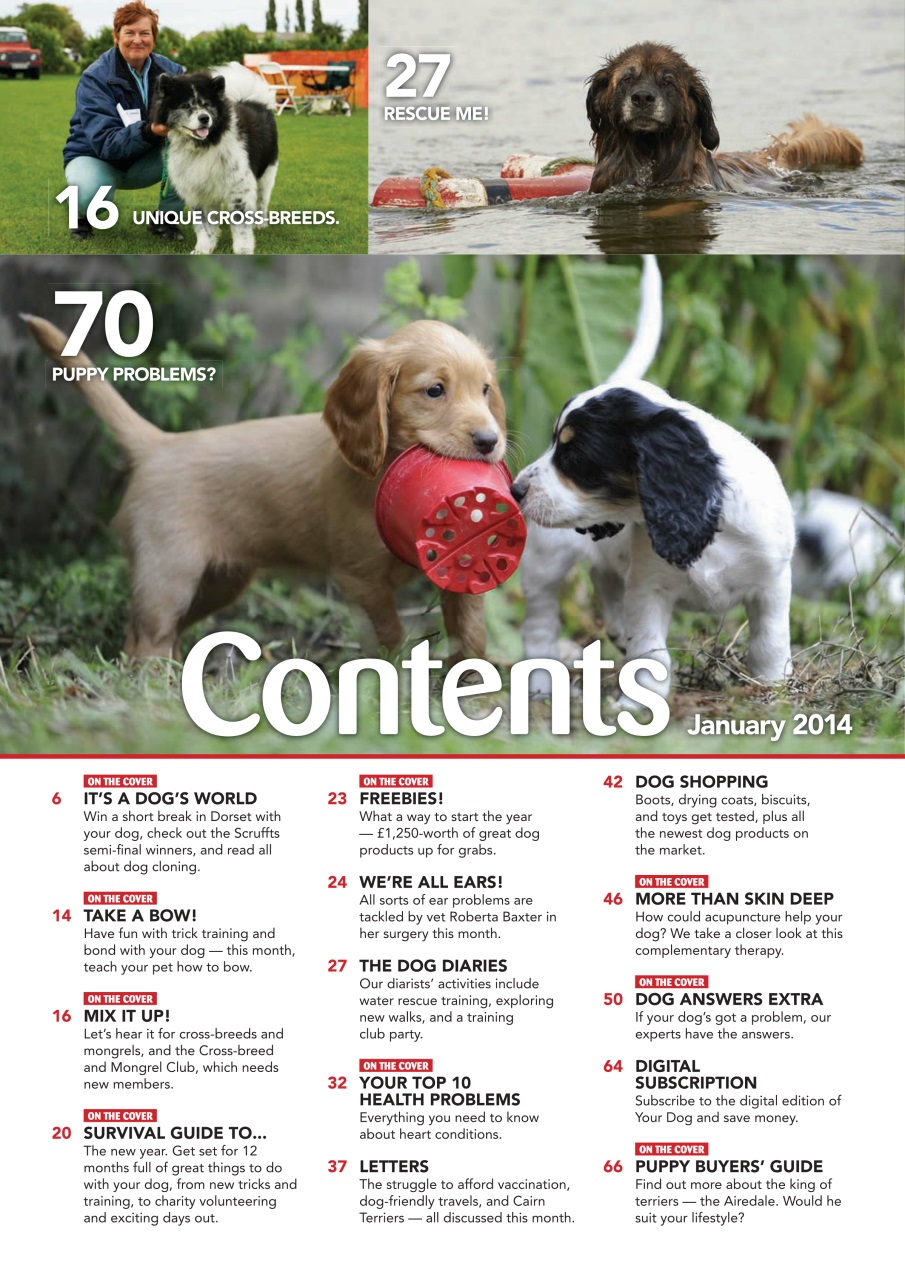 Your Dog Preview Pages