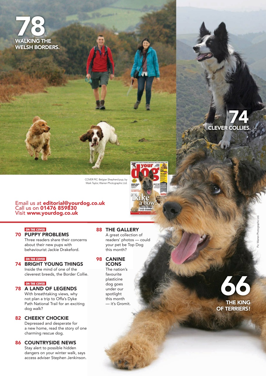 Your Dog Preview Pages