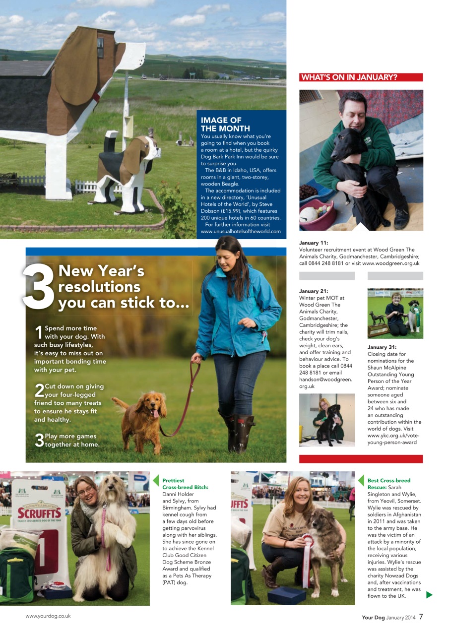 Your Dog Preview Pages