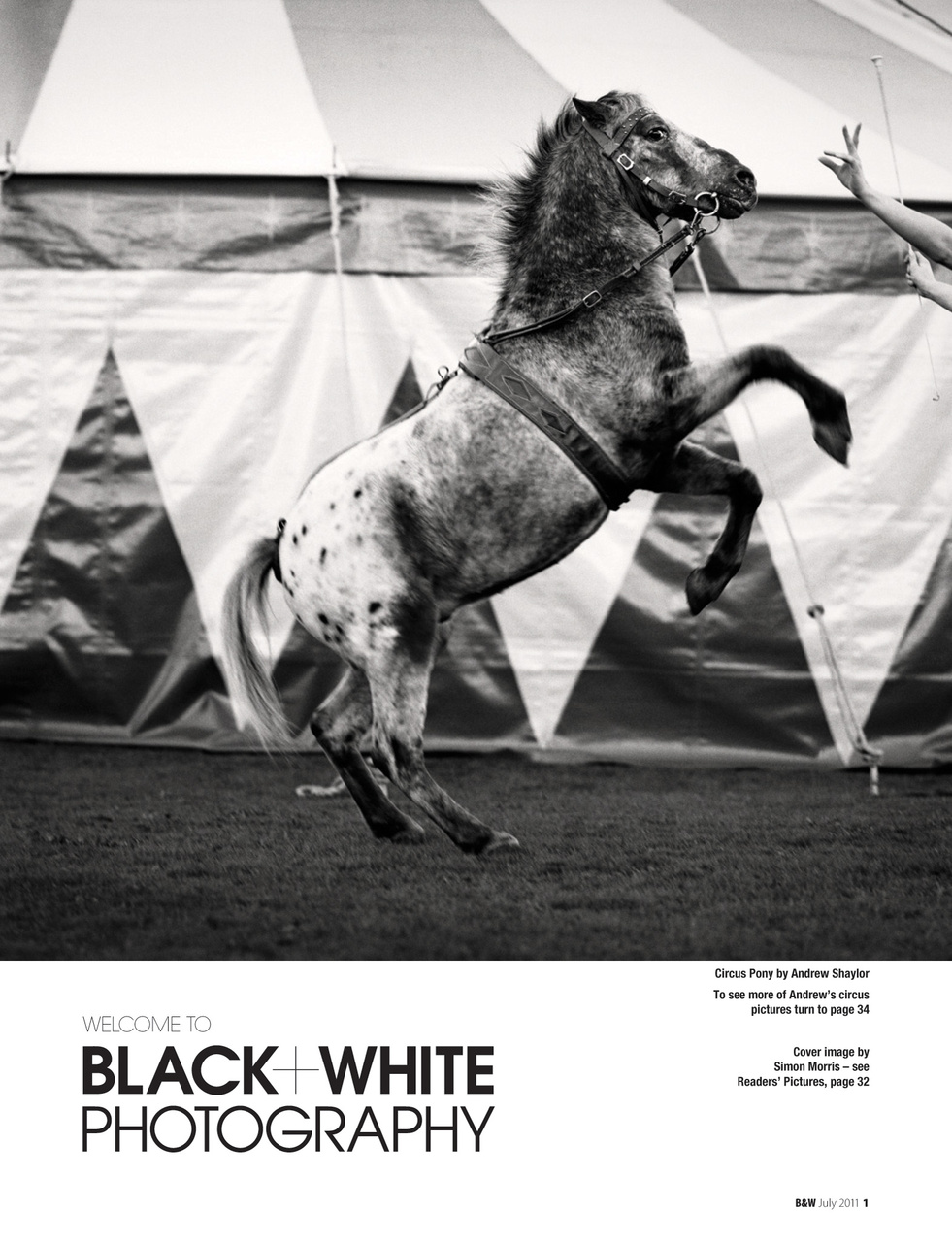 Black+White Photography Preview Pages