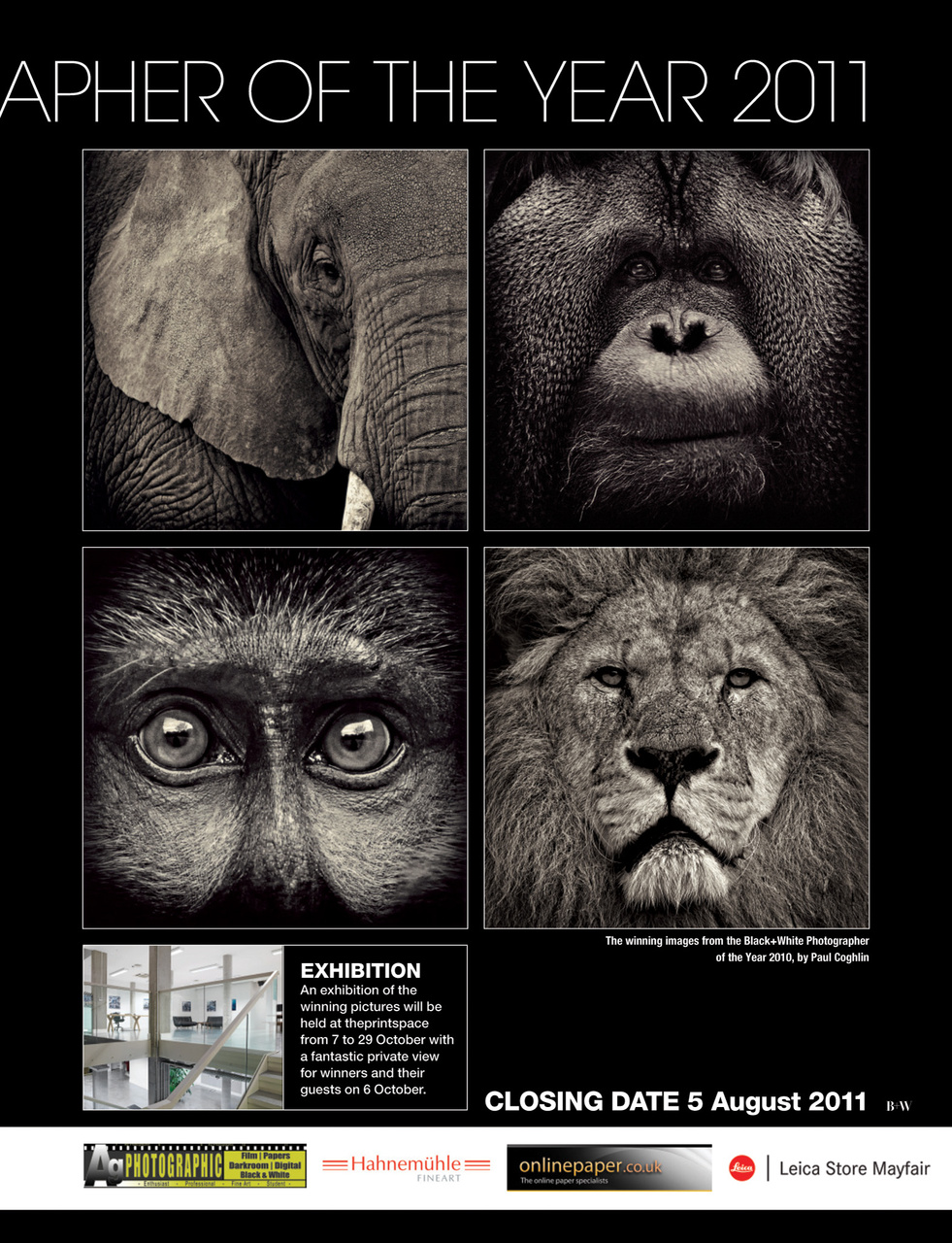 Black+White Photography Preview Pages