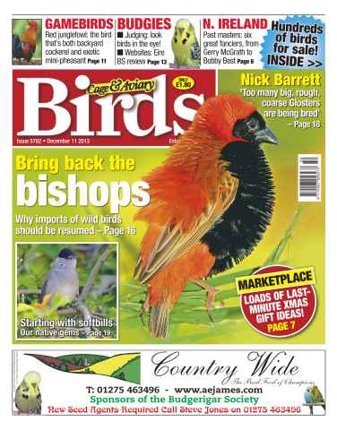 Cage & Aviary Birds issue No.5782 Bring back the Bishops