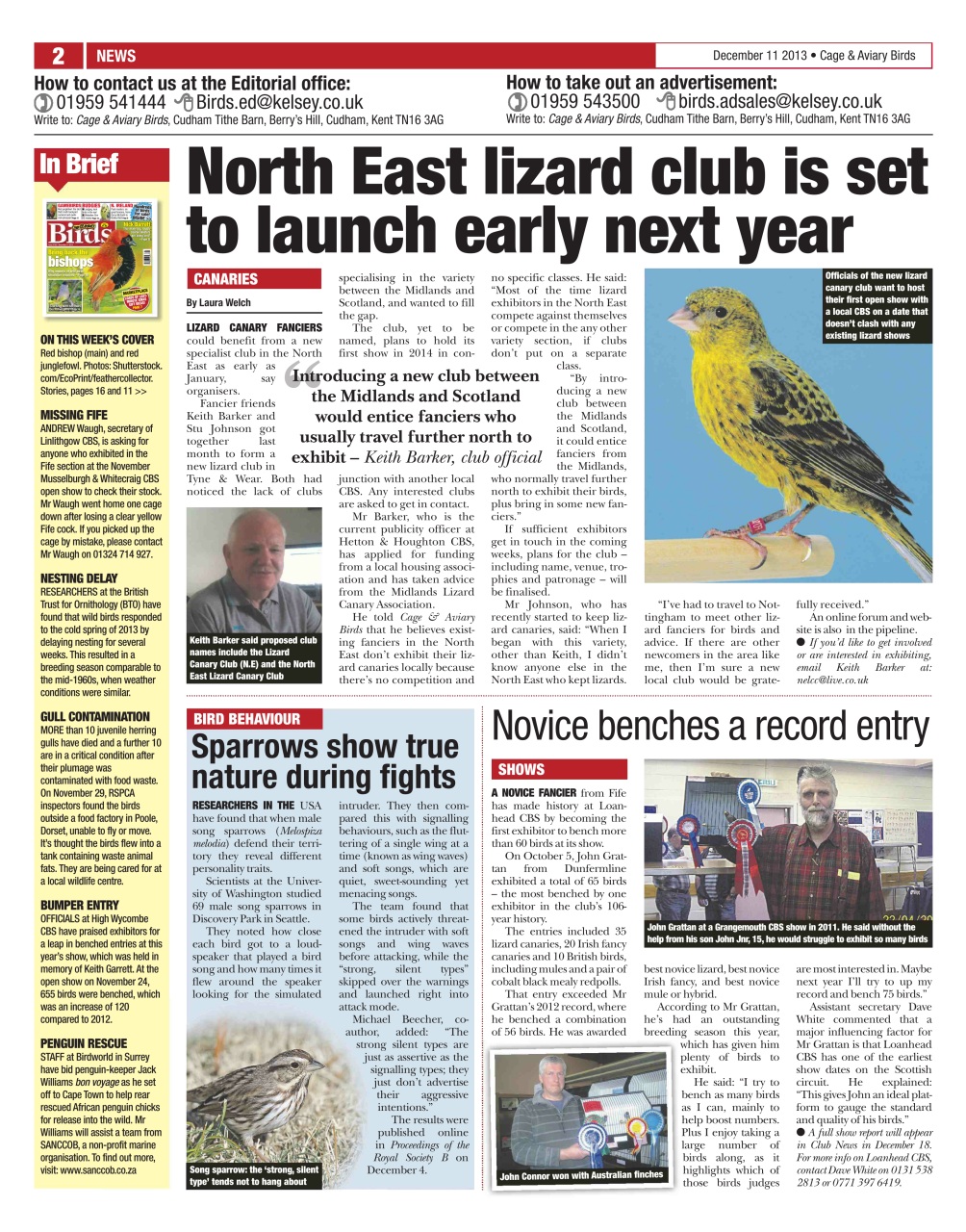 Cage & Aviary Birds Preview Pages