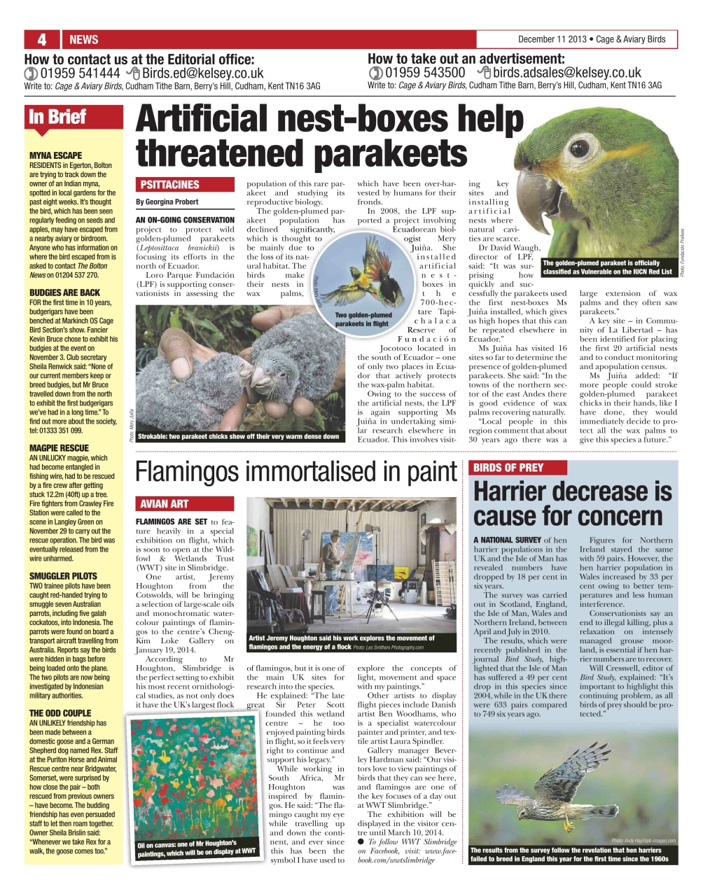 Cage & Aviary Birds Preview Pages