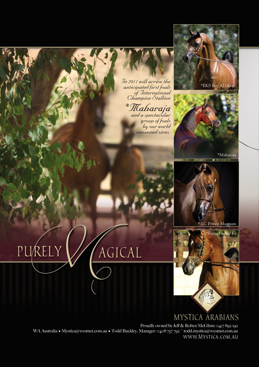 Australian Arabian Horse News Preview Pages