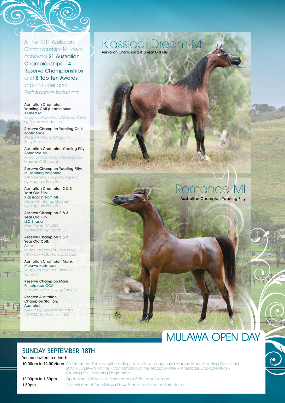 Australian Arabian Horse News Preview Pages