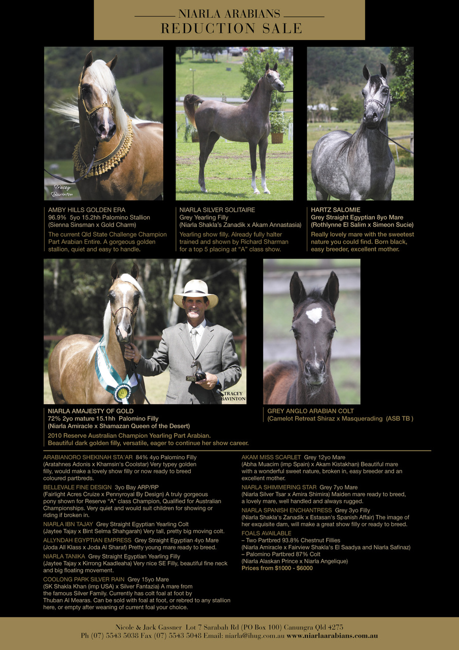 Australian Arabian Horse News Preview Pages
