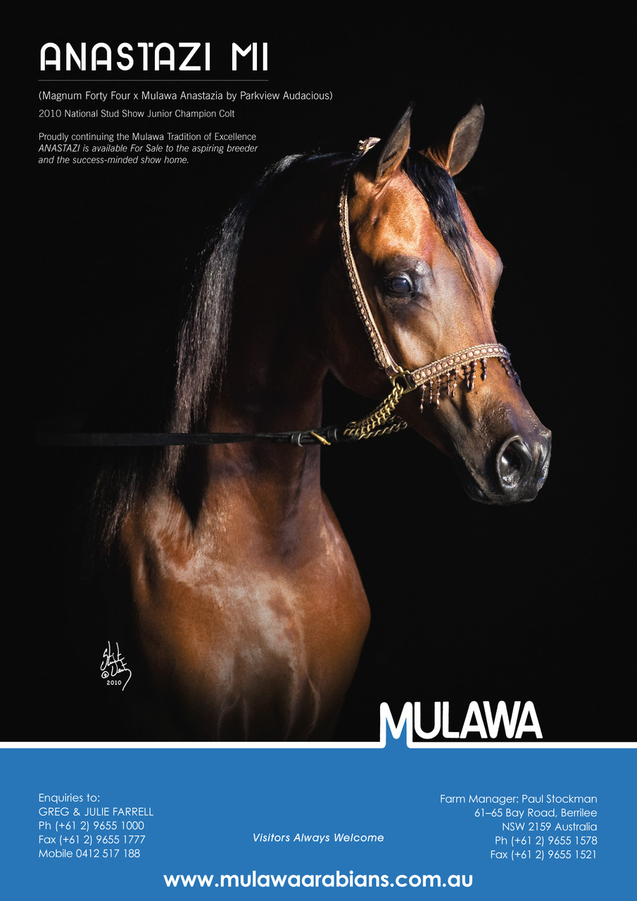 Australian Arabian Horse News Preview Pages