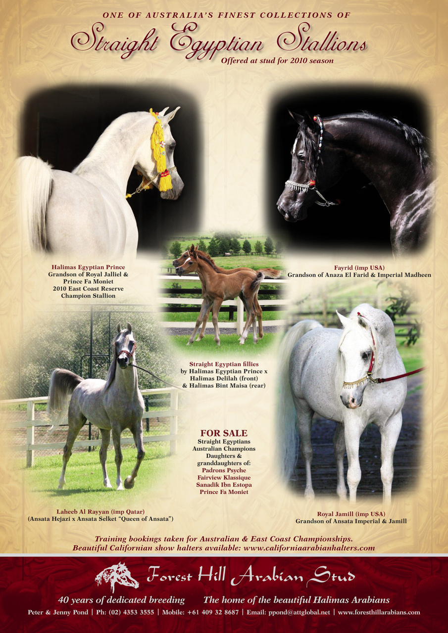 Australian Arabian Horse News Preview Pages