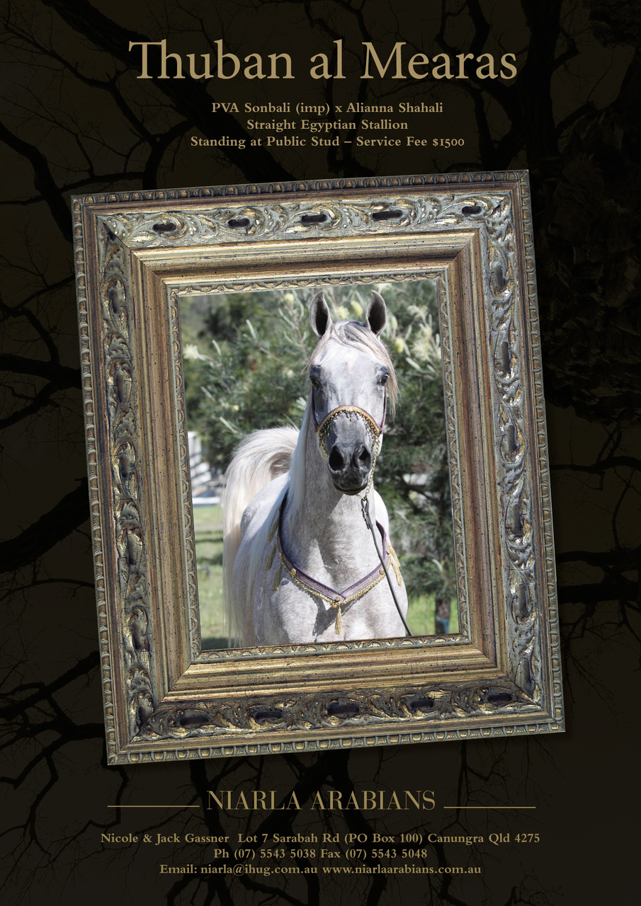 Australian Arabian Horse News Preview Pages