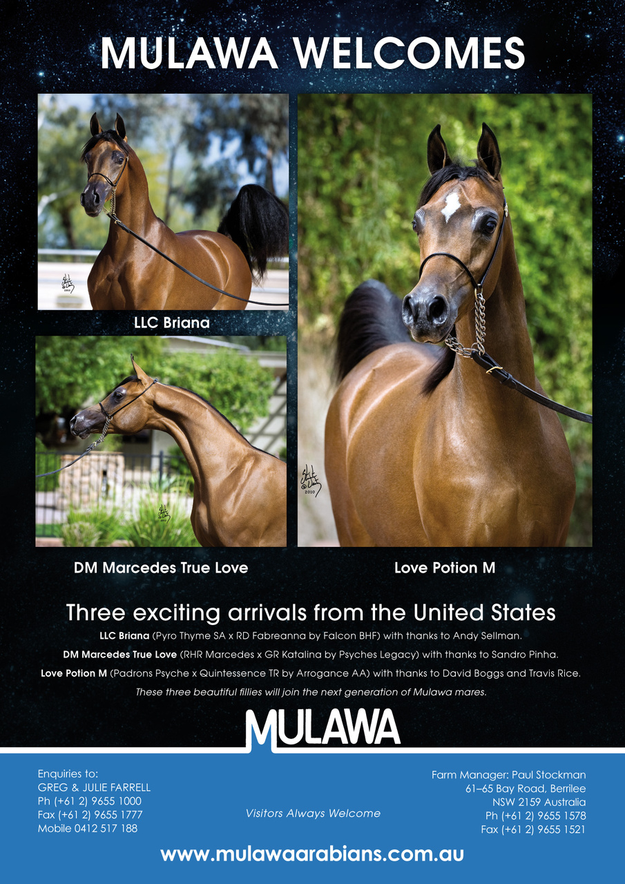 Australian Arabian Horse News Preview Pages