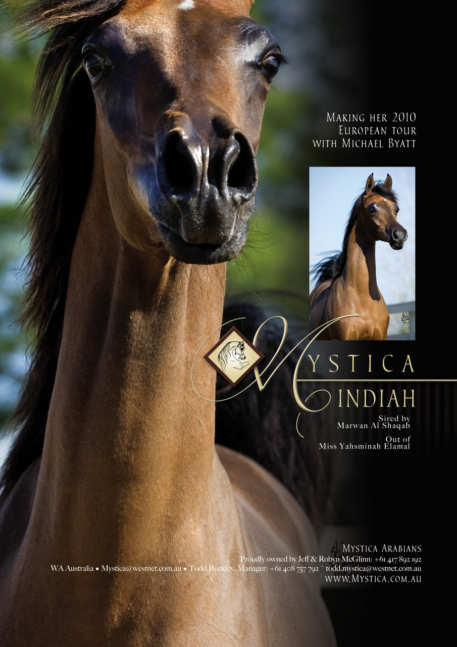 Australian Arabian Horse News Preview Pages