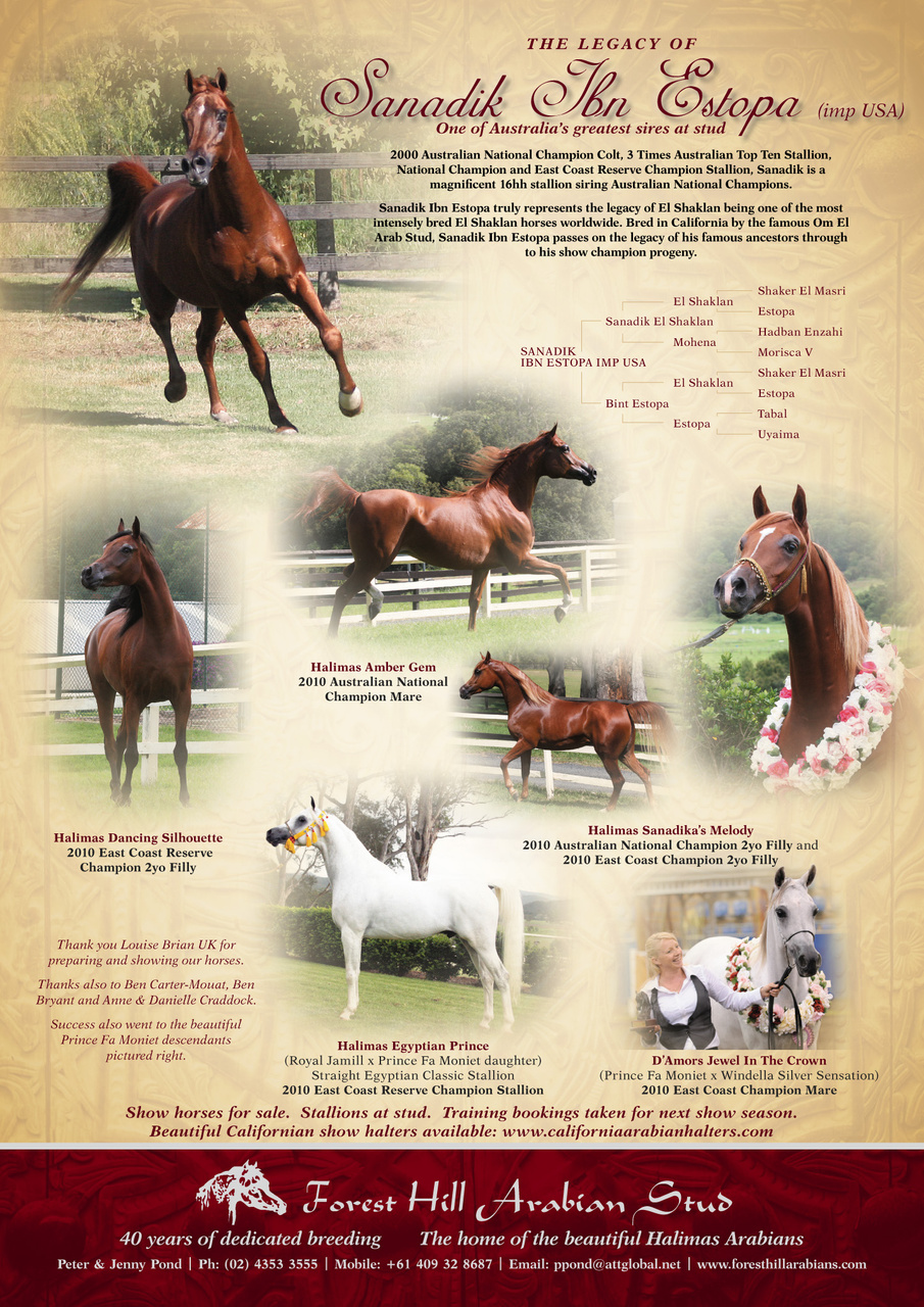 Australian Arabian Horse News Preview Pages