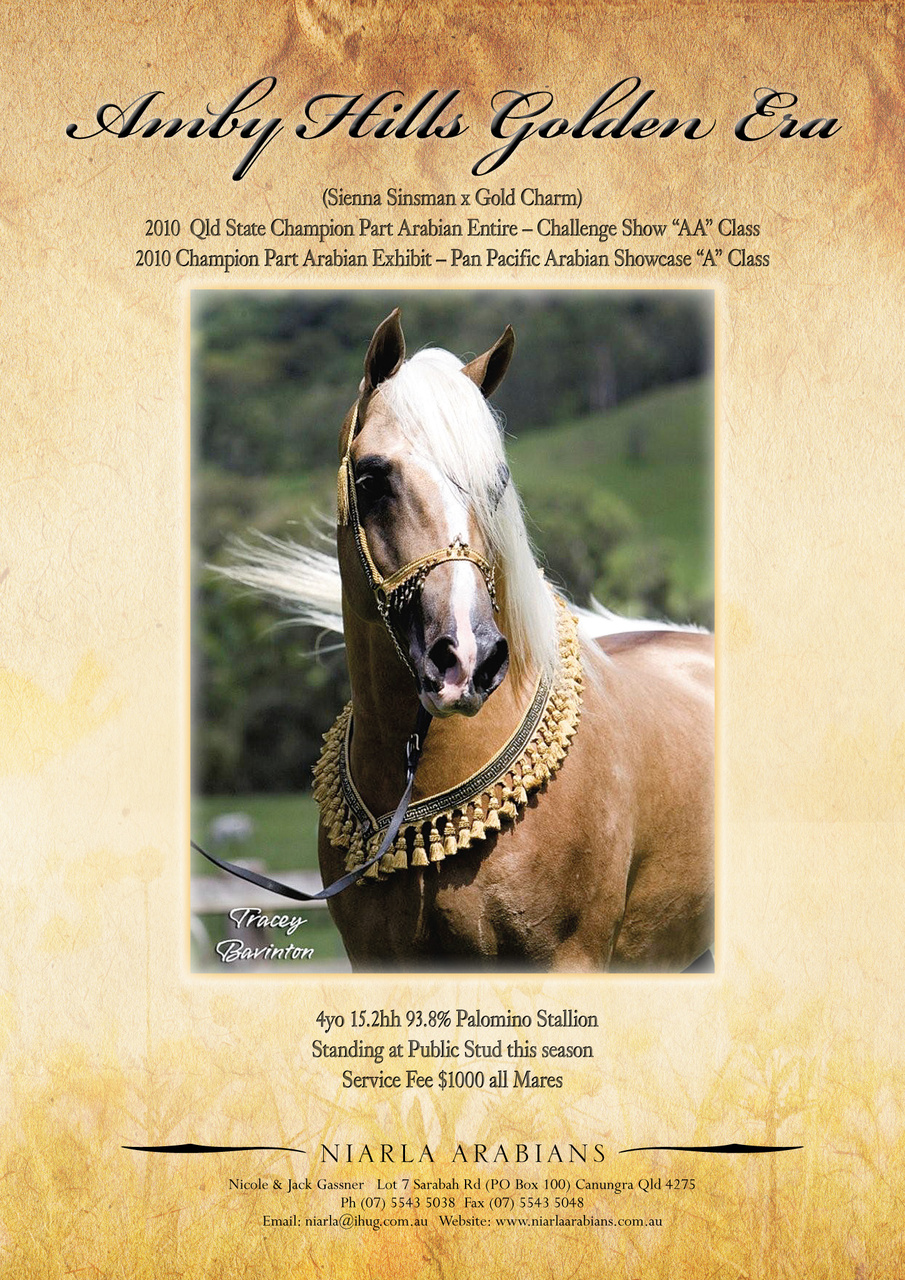 Australian Arabian Horse News Preview Pages