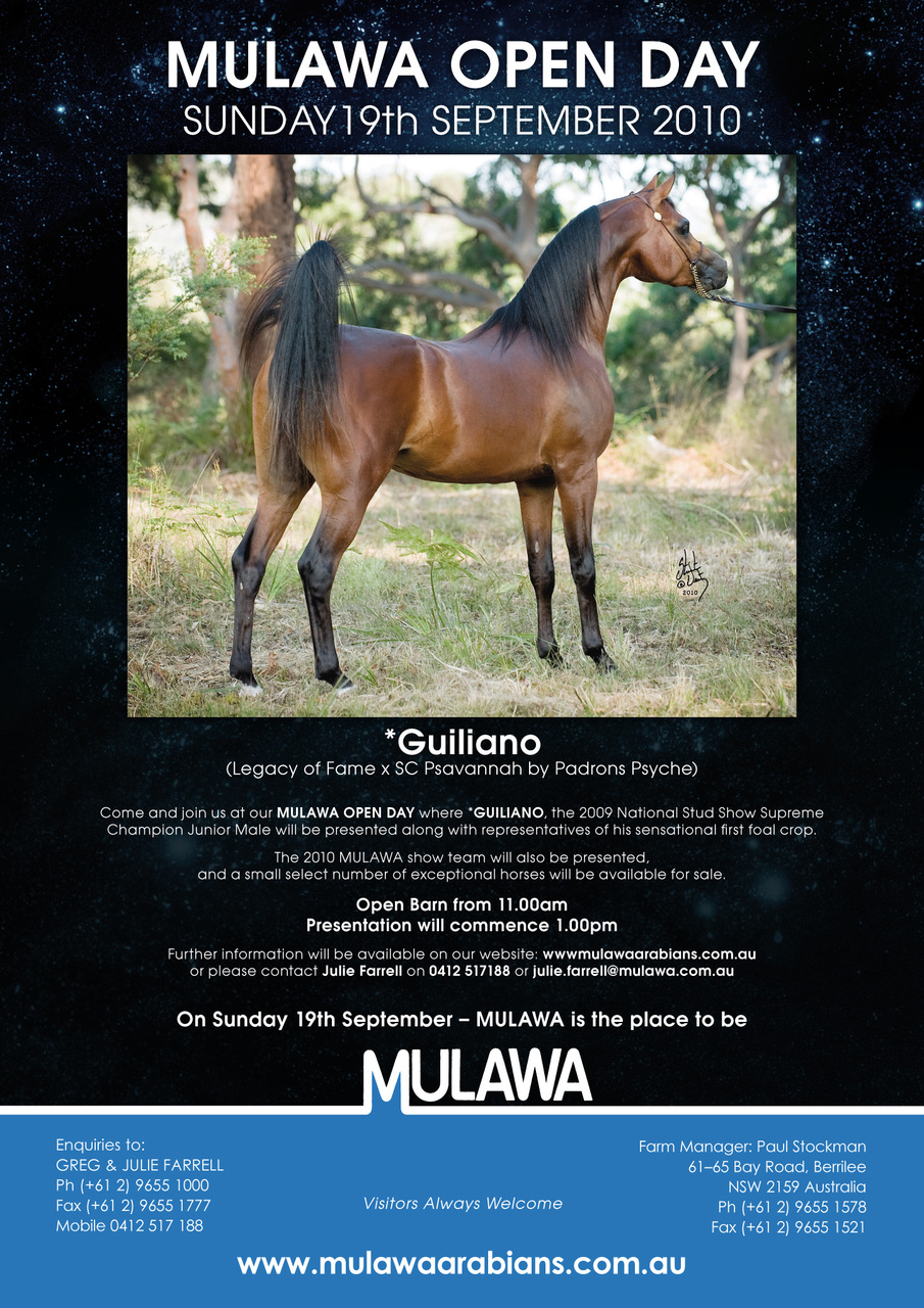 Australian Arabian Horse News Preview Pages