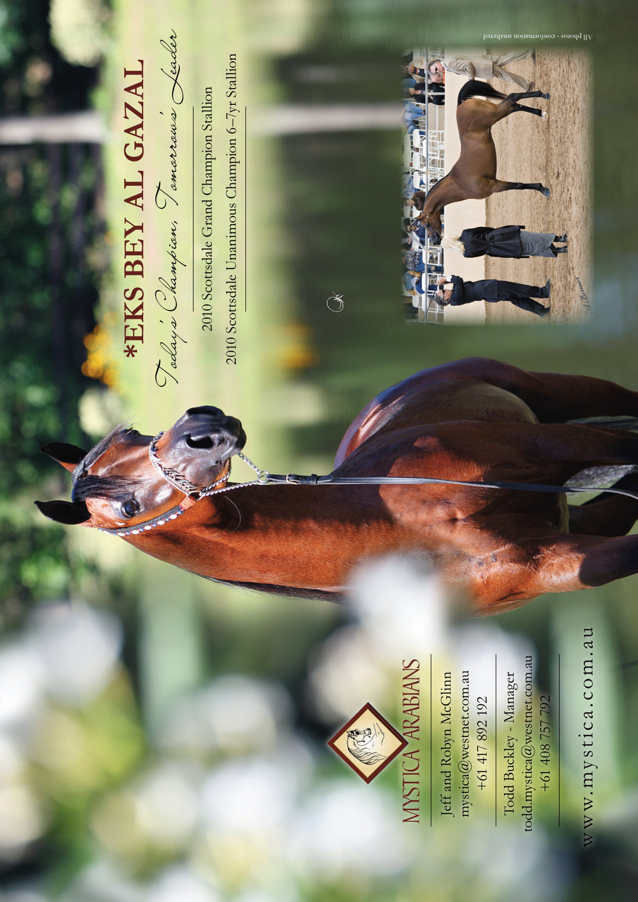 Australian Arabian Horse News Preview Pages