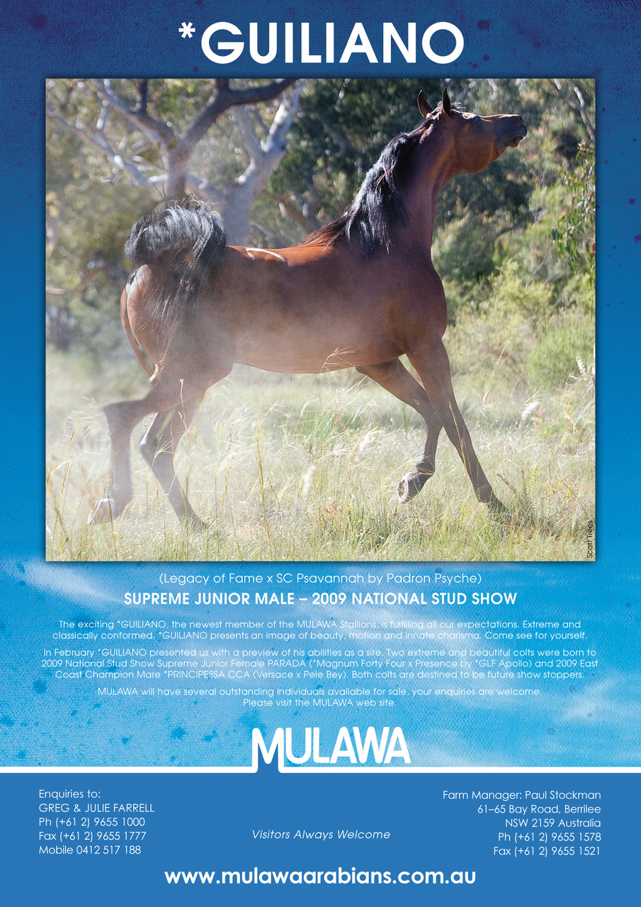 Australian Arabian Horse News Preview Pages
