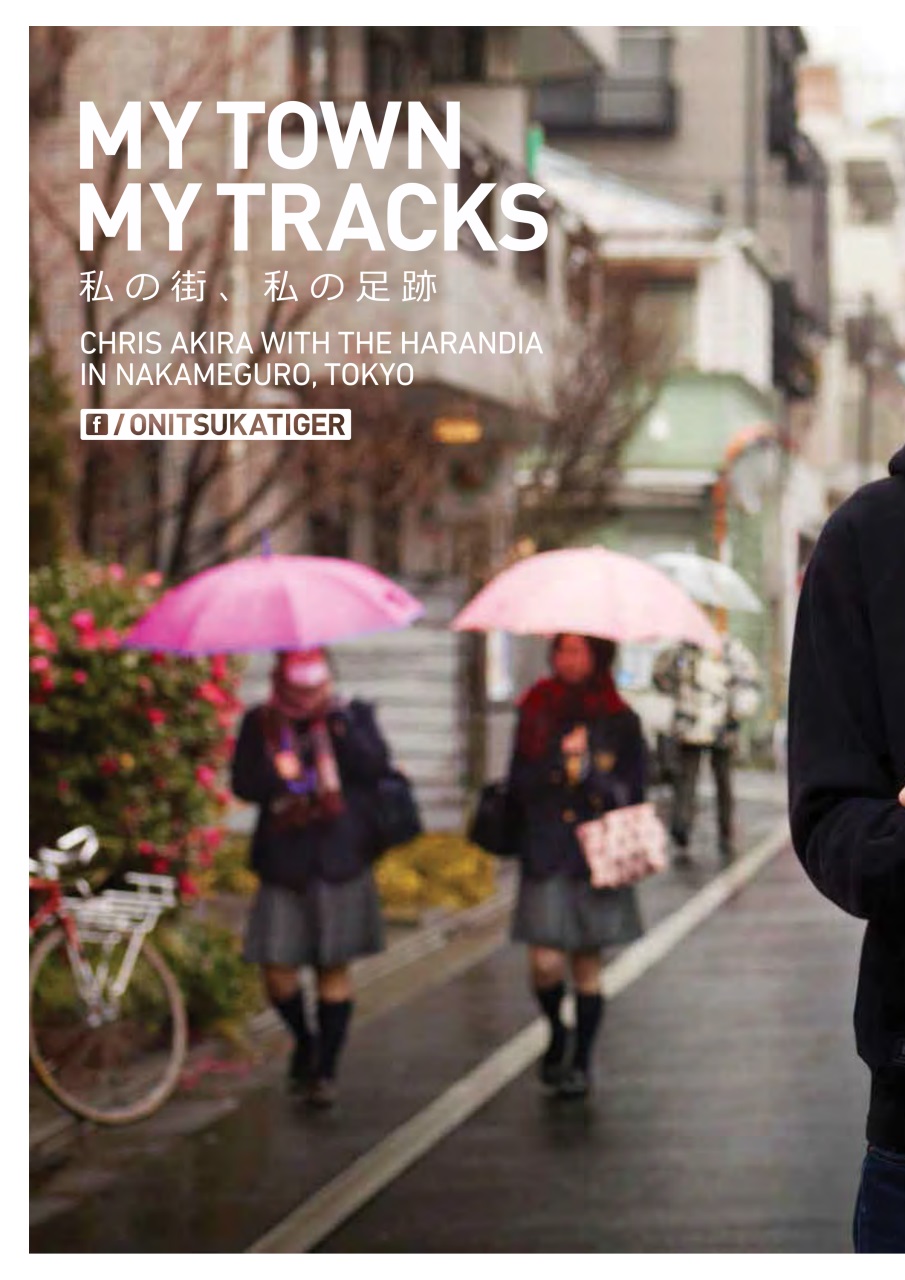 Loaded Preview Pages