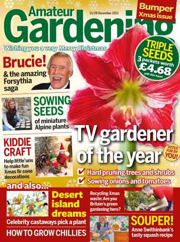 Amateur Gardening issue December 21st