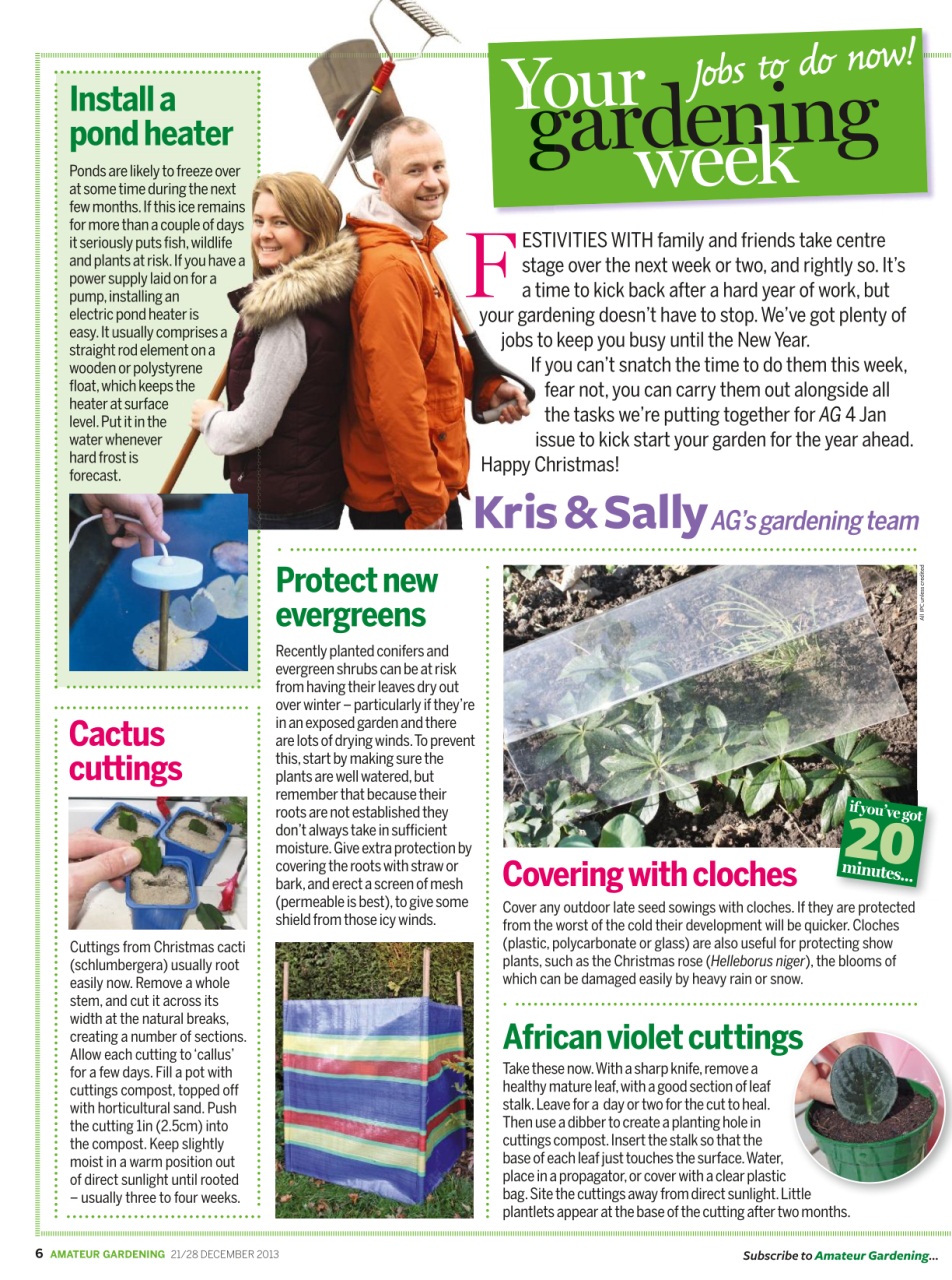 Amateur Gardening Preview Pages