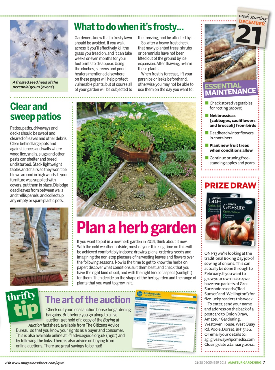 Amateur Gardening Preview Pages