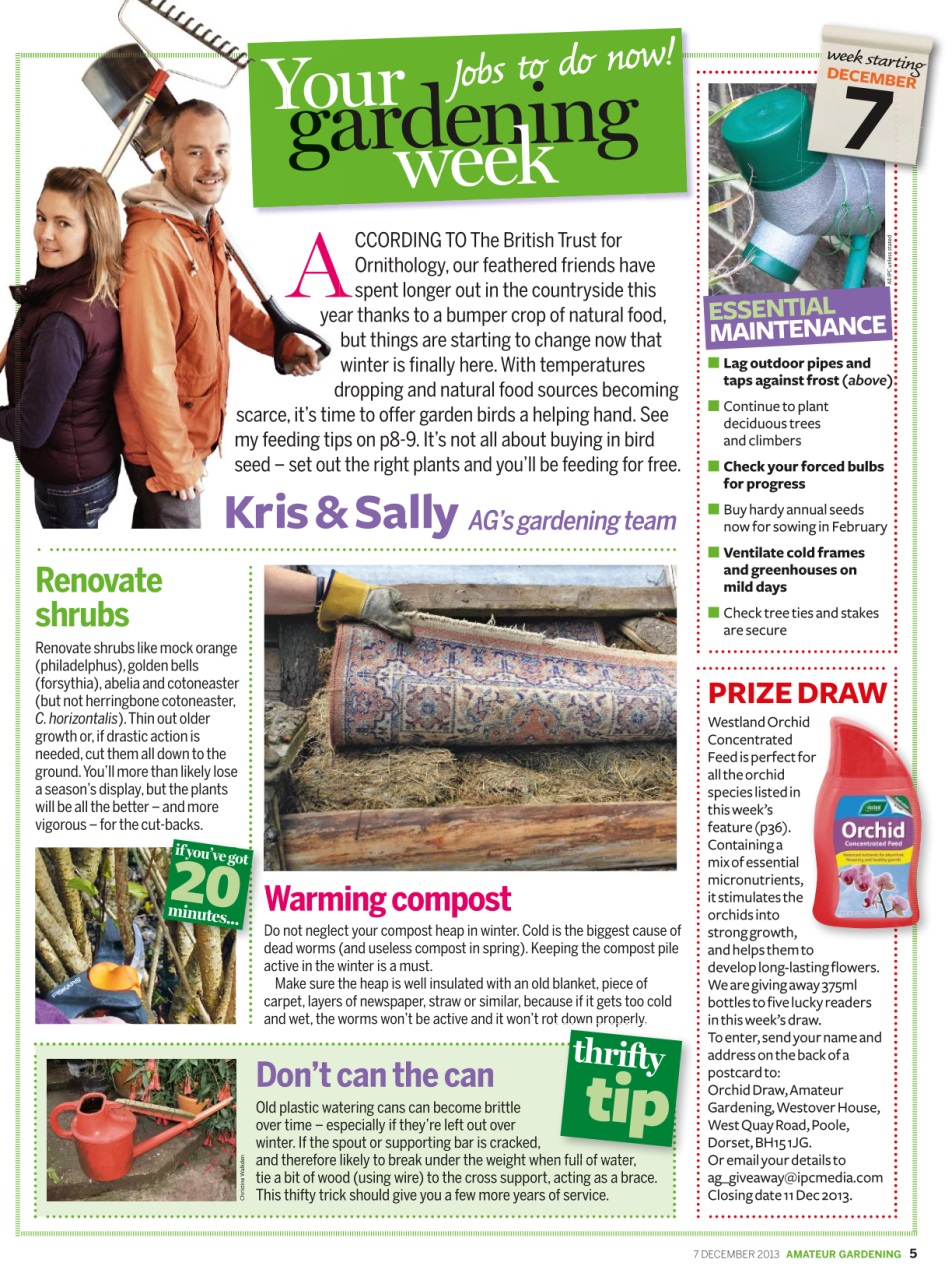 Amateur Gardening Preview Pages