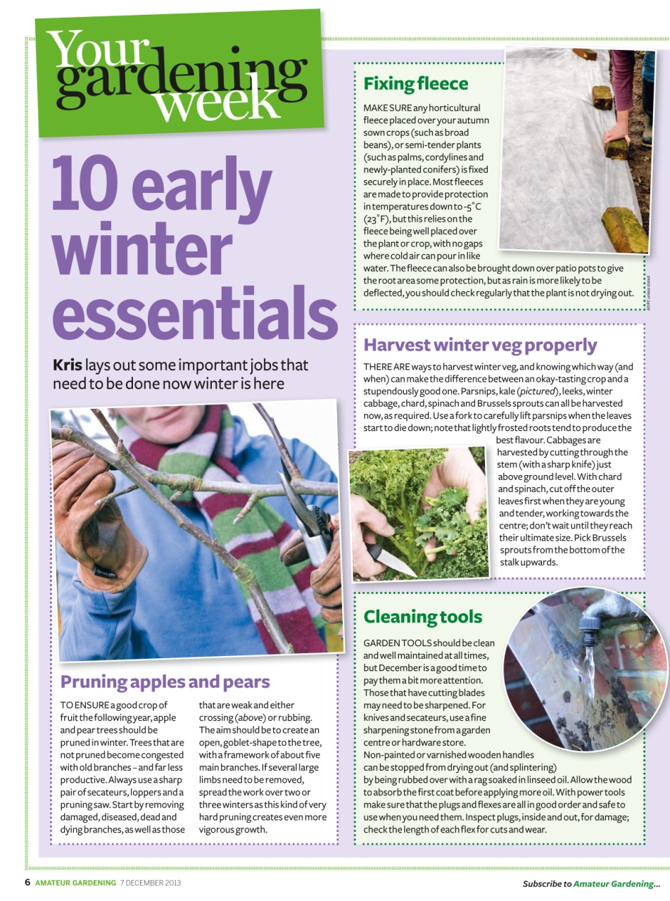 Amateur Gardening Preview Pages