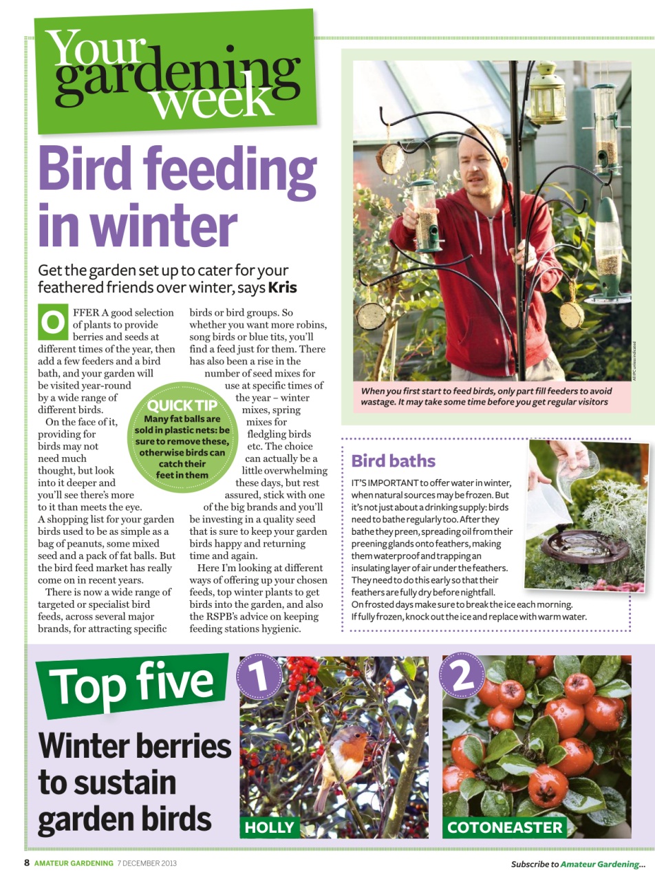 Amateur Gardening Preview Pages