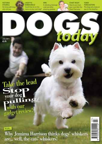 Dogs Today Magazine issue July 2011