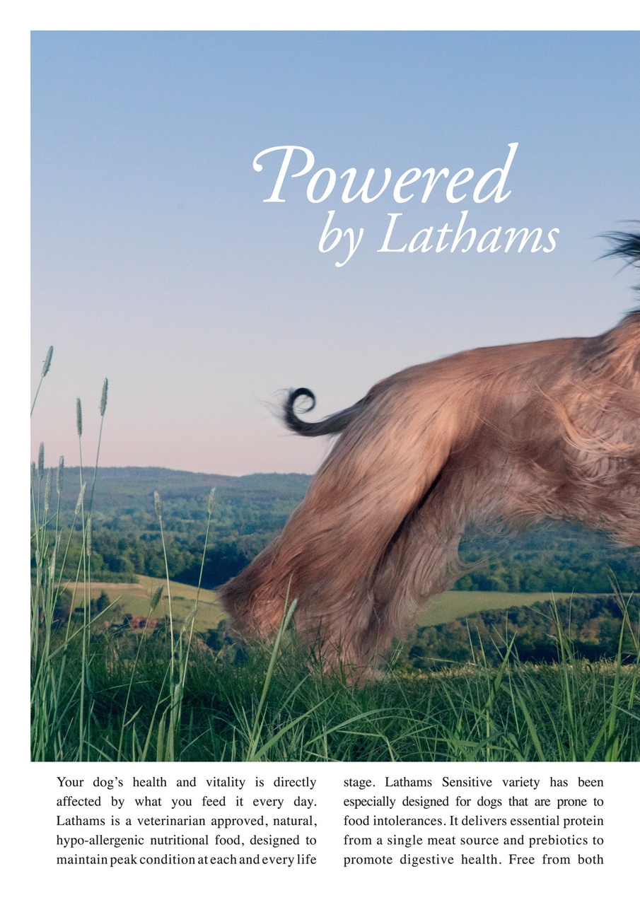 Dogs Today Magazine Preview Pages