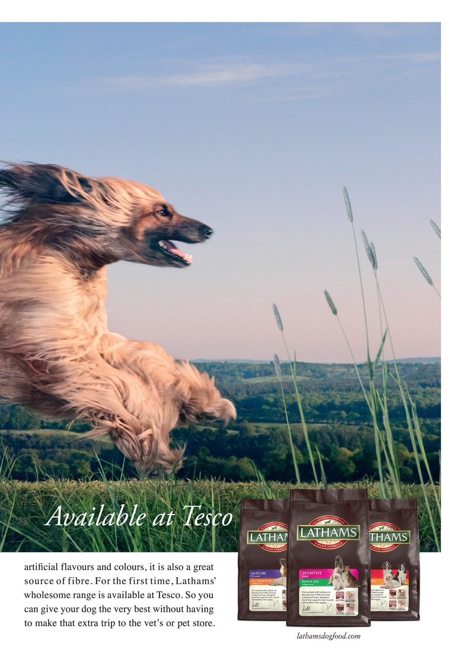 Dogs Today Magazine Preview Pages