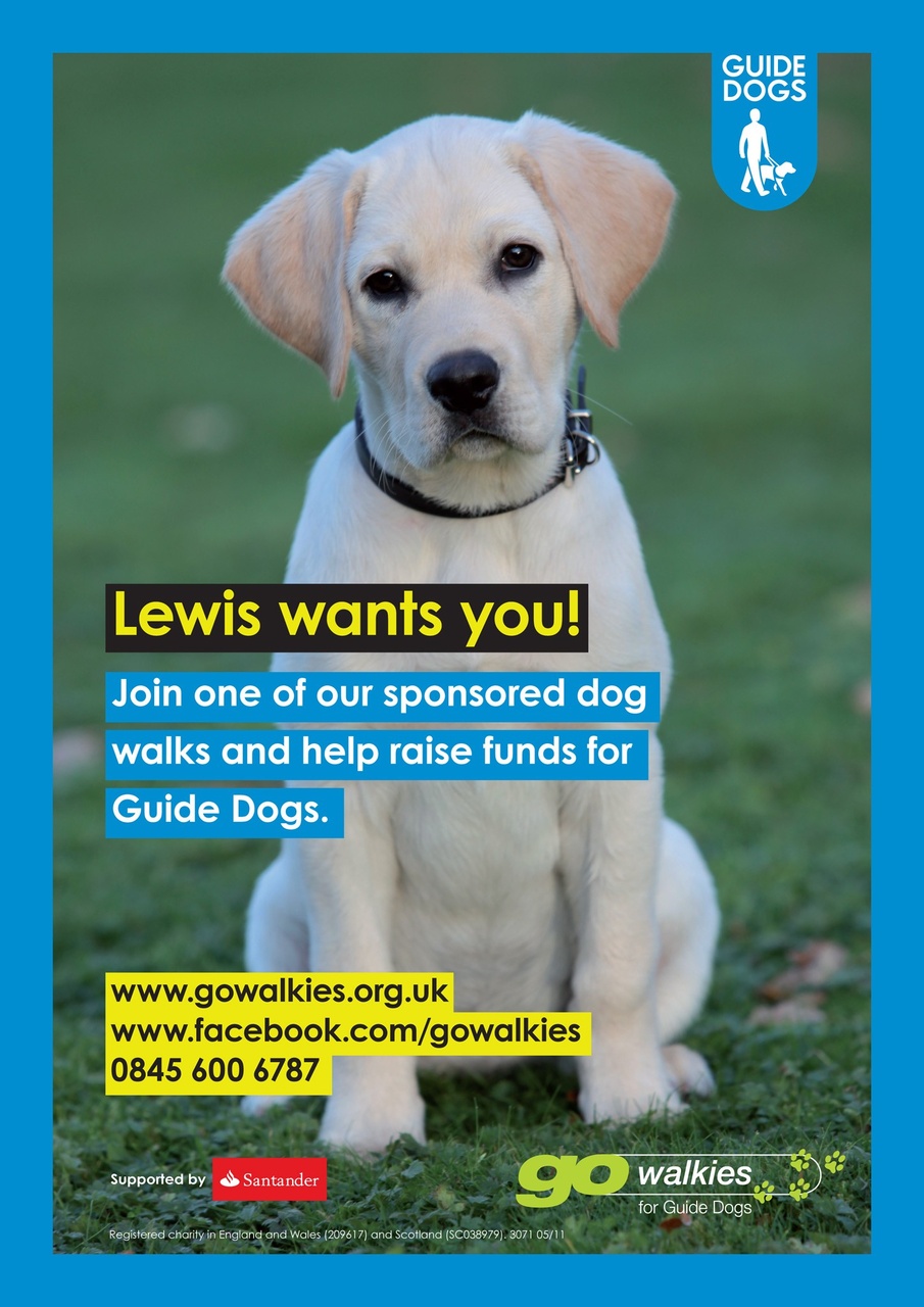 Dogs Today Magazine Preview Pages