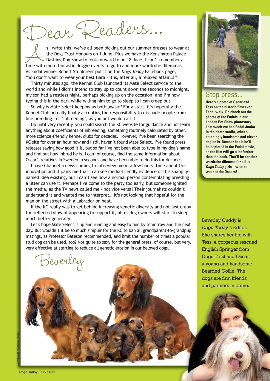Dogs Today Magazine Preview Pages