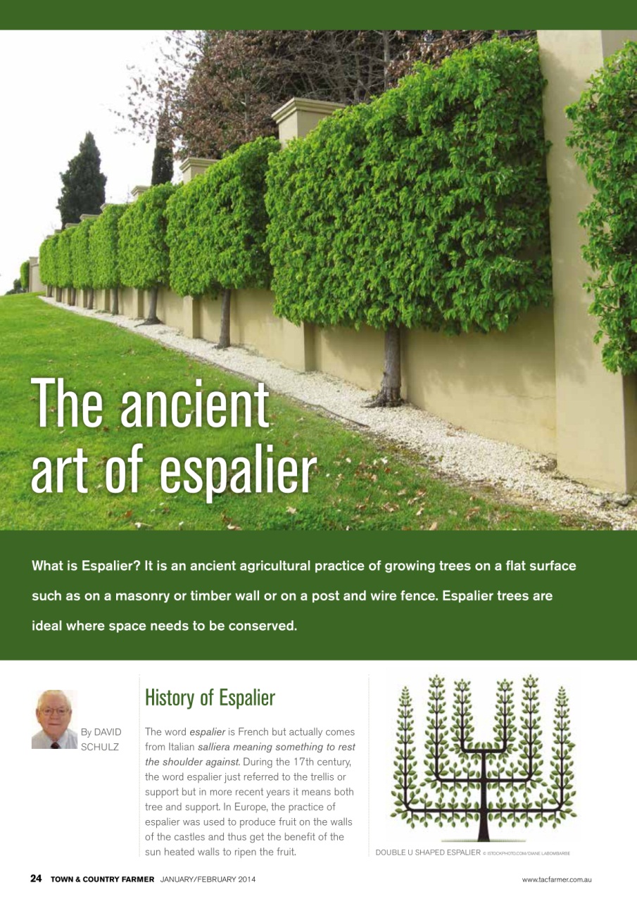 Town And Country Farmer Preview Pages