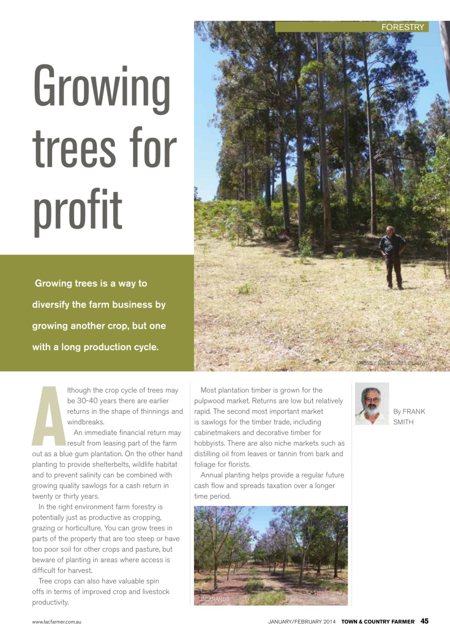 Town And Country Farmer Preview Pages