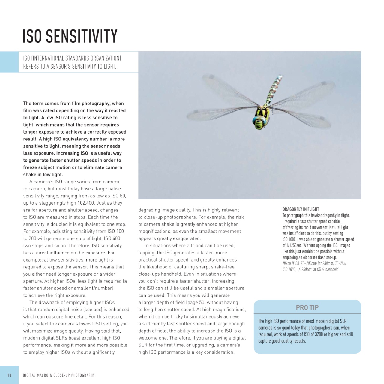 Black+White Photography Preview Pages