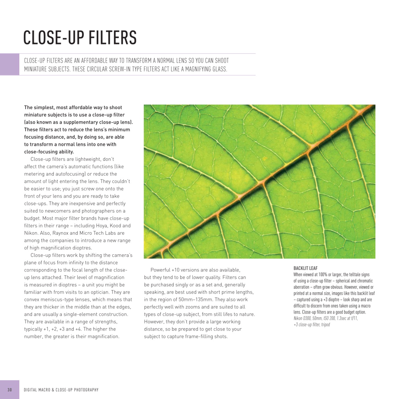 Black+White Photography Preview Pages