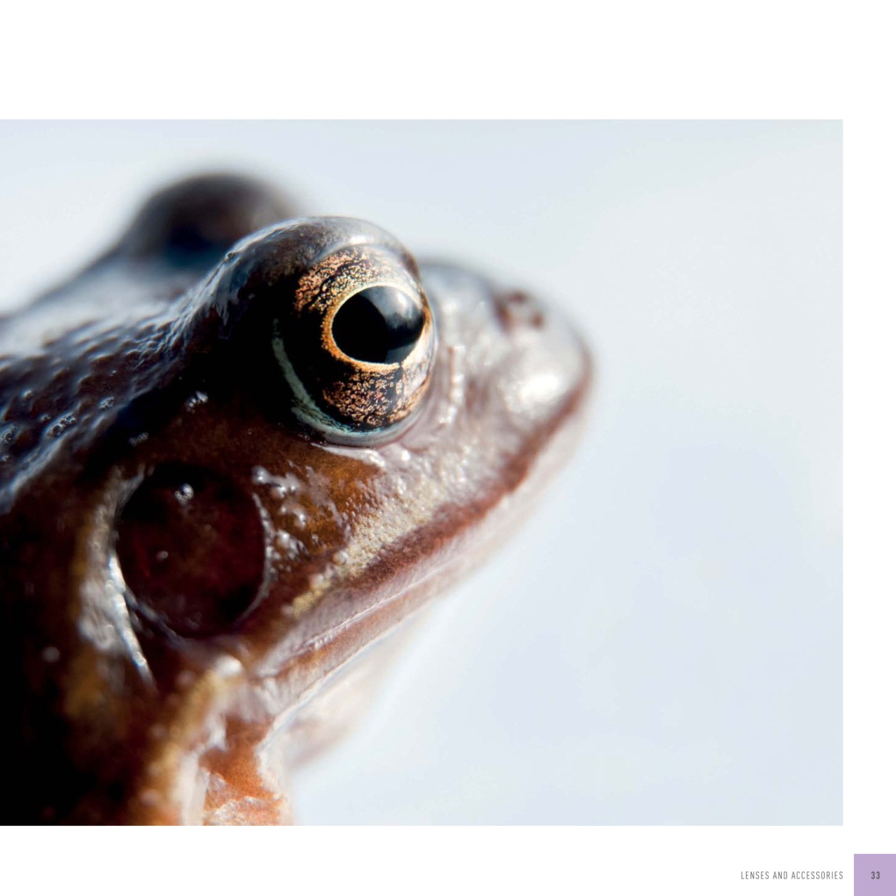 Black+White Photography Preview Pages