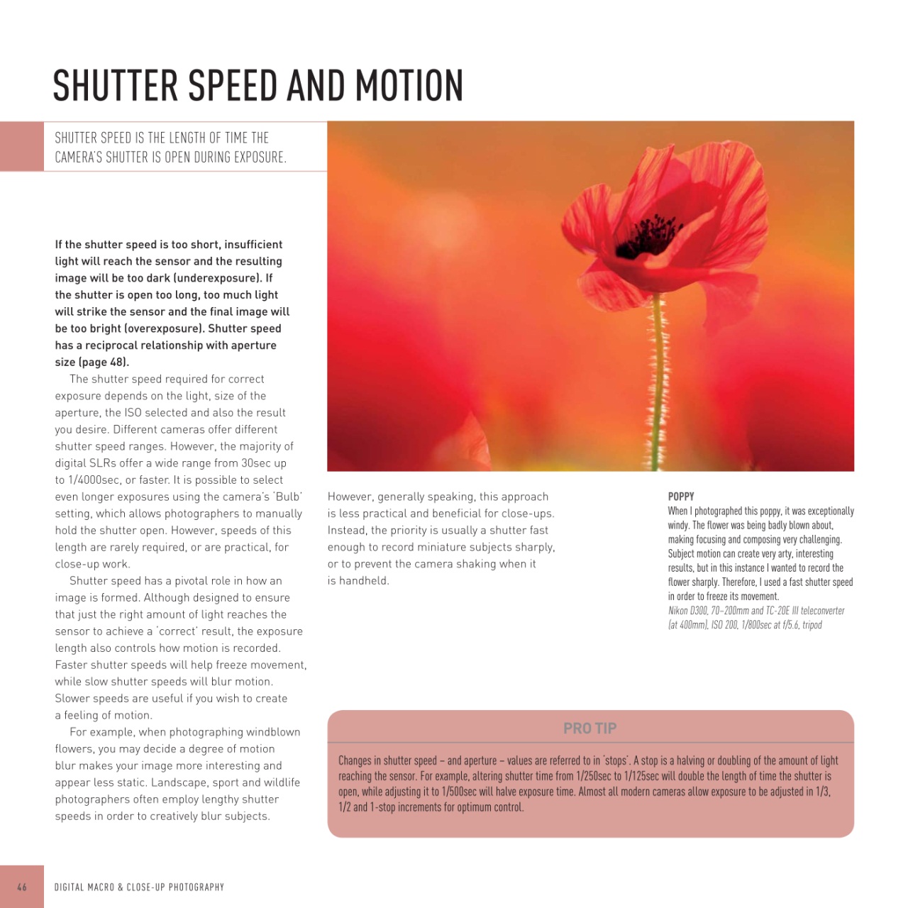 Black+White Photography Preview Pages