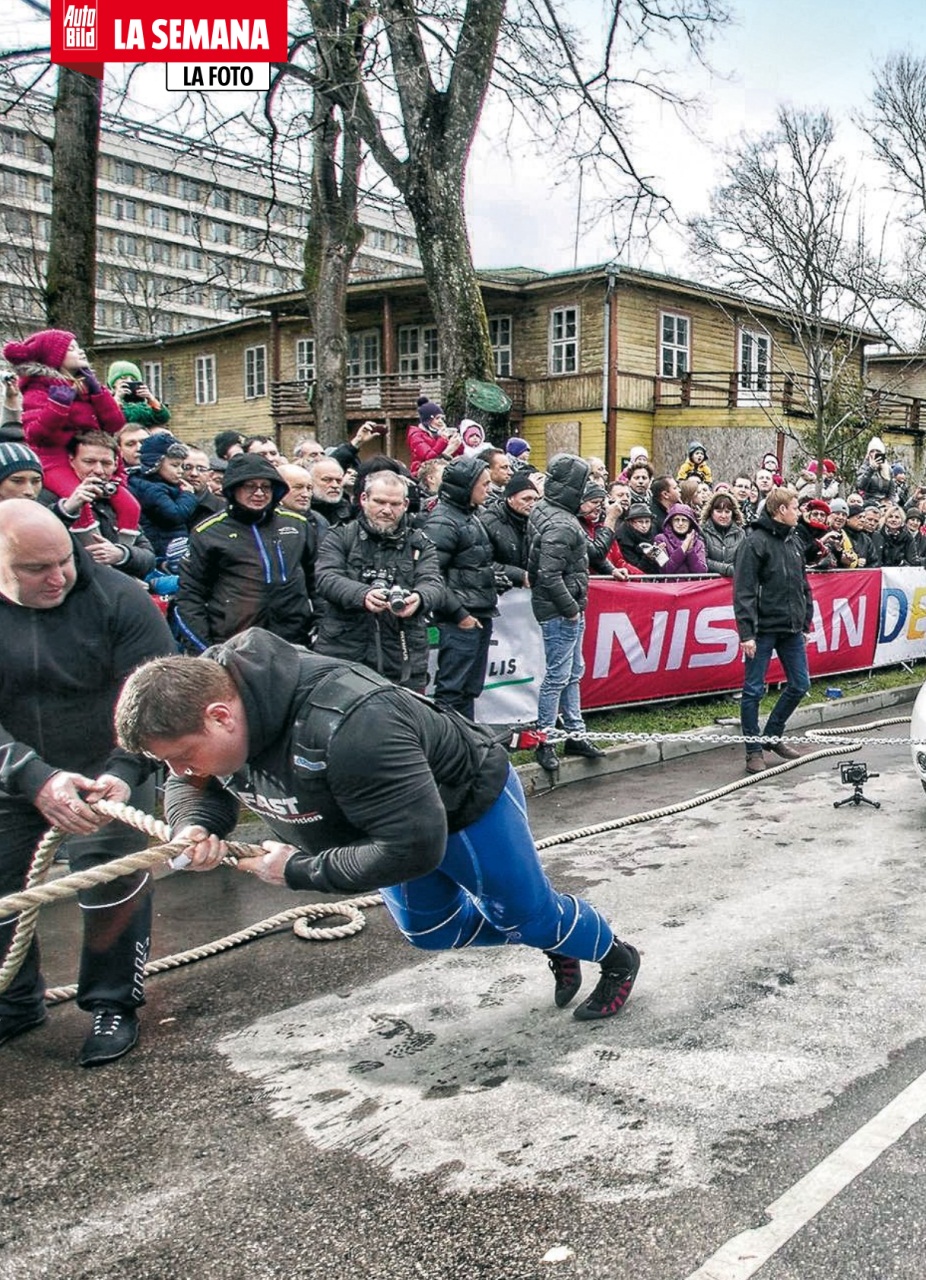 Auto Bild Preview Pages