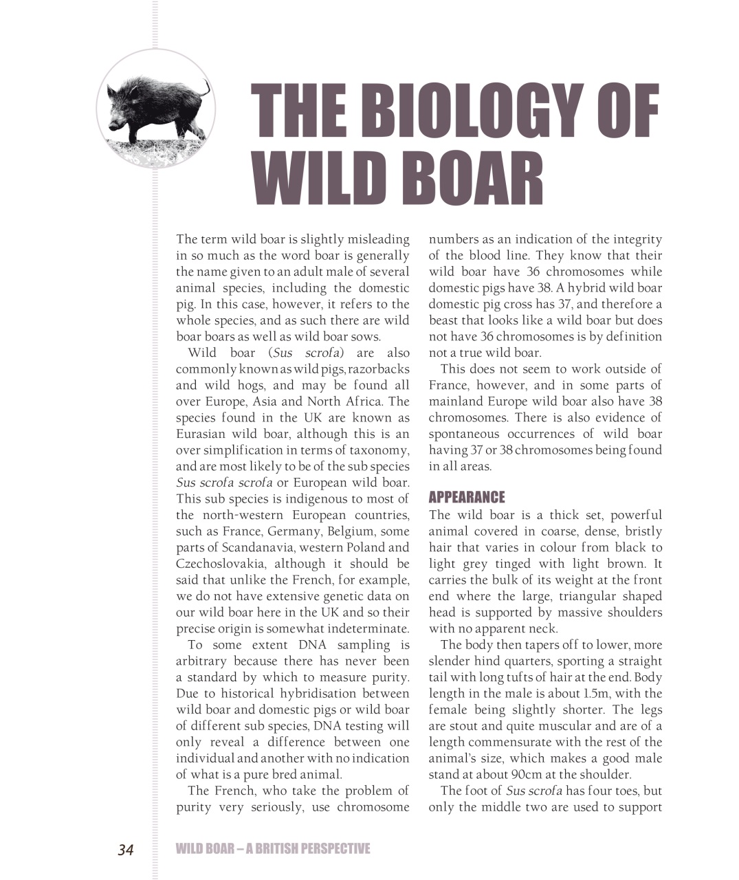 Sporting Rifle Books Preview Pages