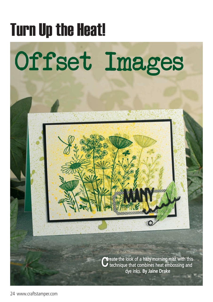 Craft Stamper Preview Pages