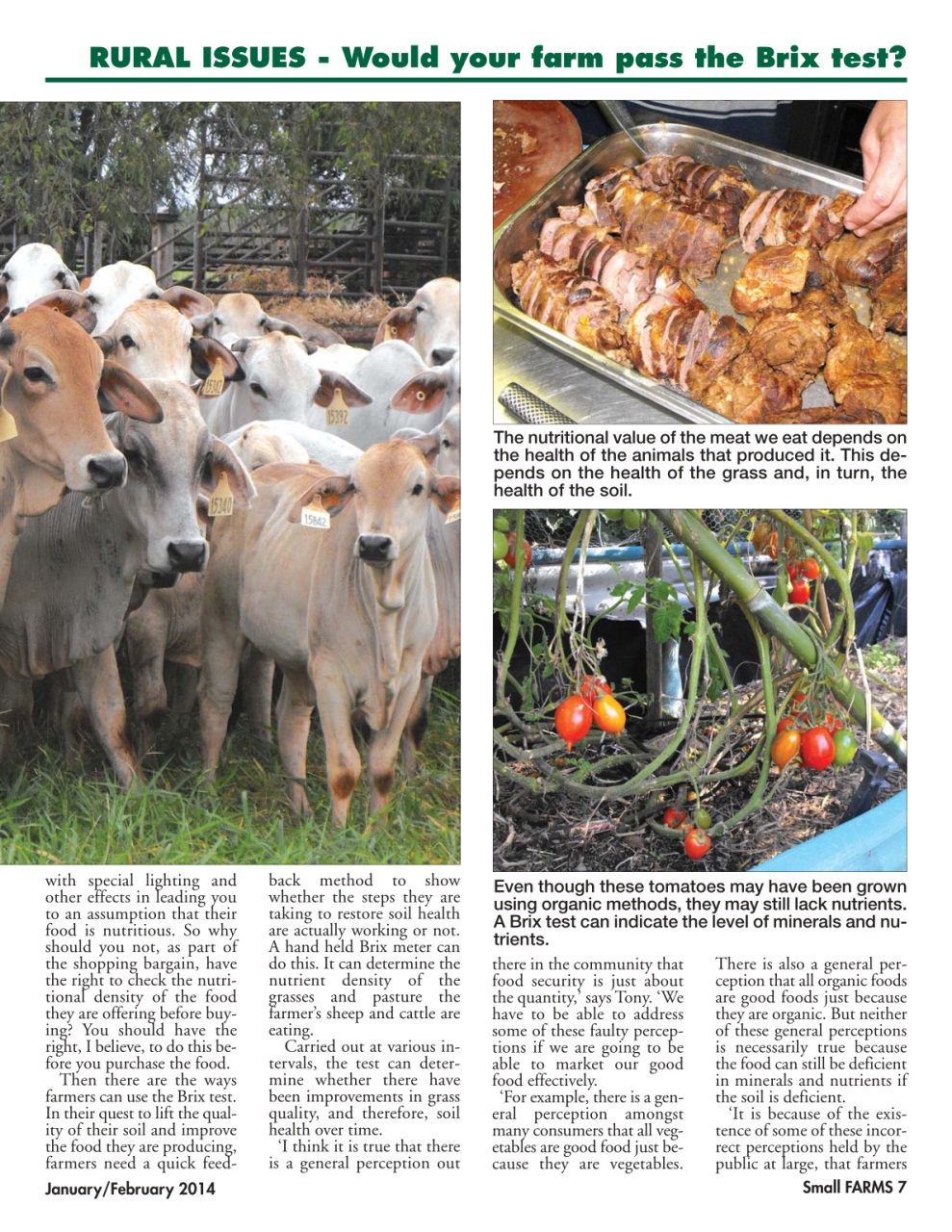 Small Farms Preview Pages