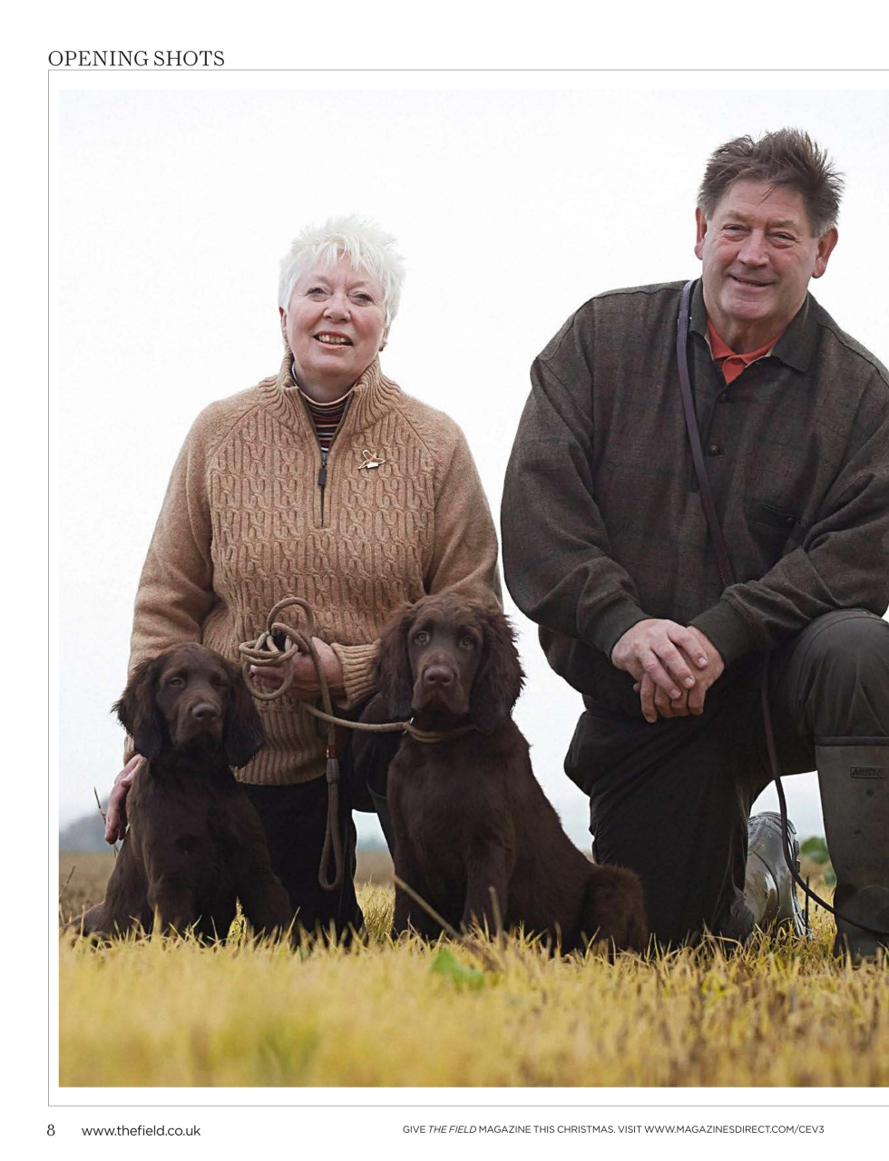 The Field Preview Pages