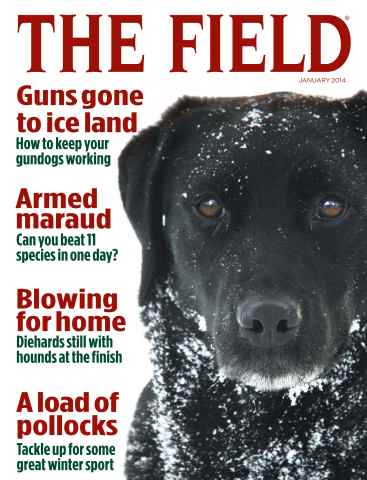 The Field issue January 2014