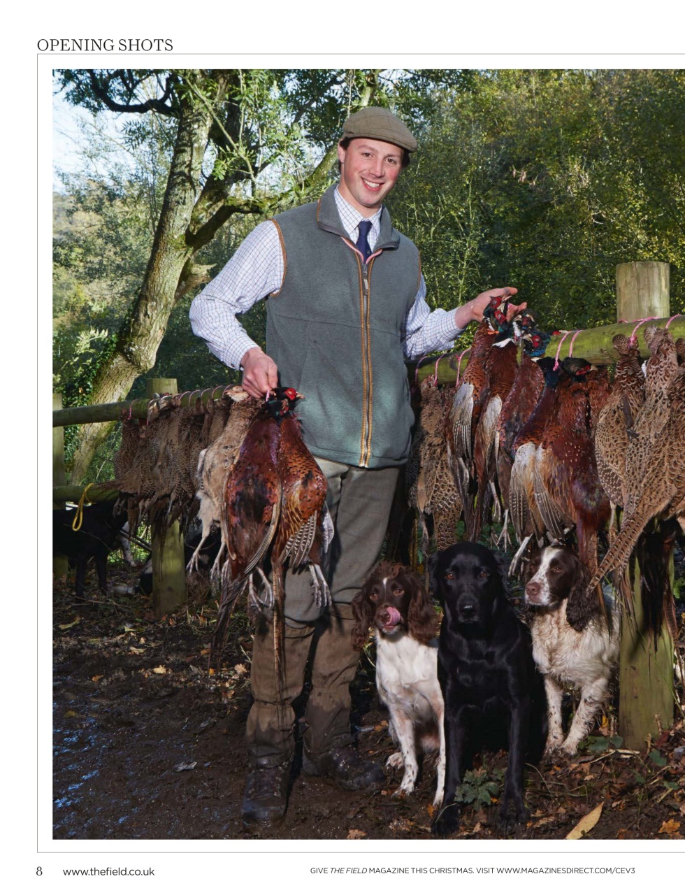 The Field Preview Pages