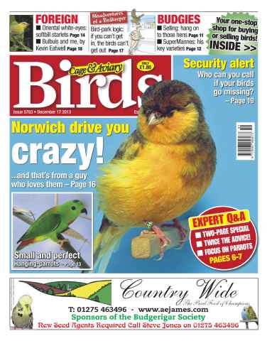 Cage & Aviary Birds issue No.5783 Norwich drive you crazy!