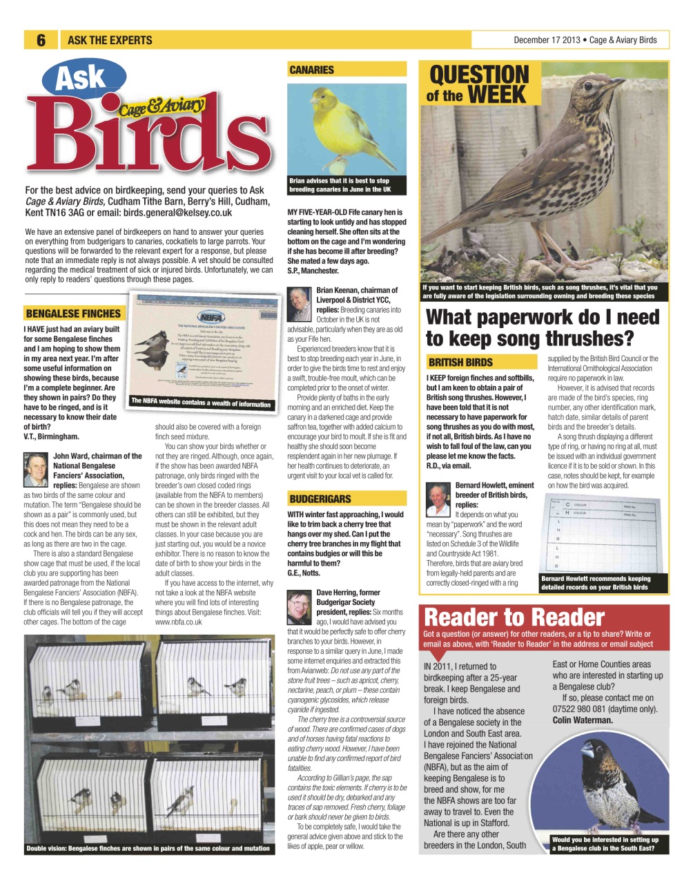 Cage & Aviary Birds Preview Pages